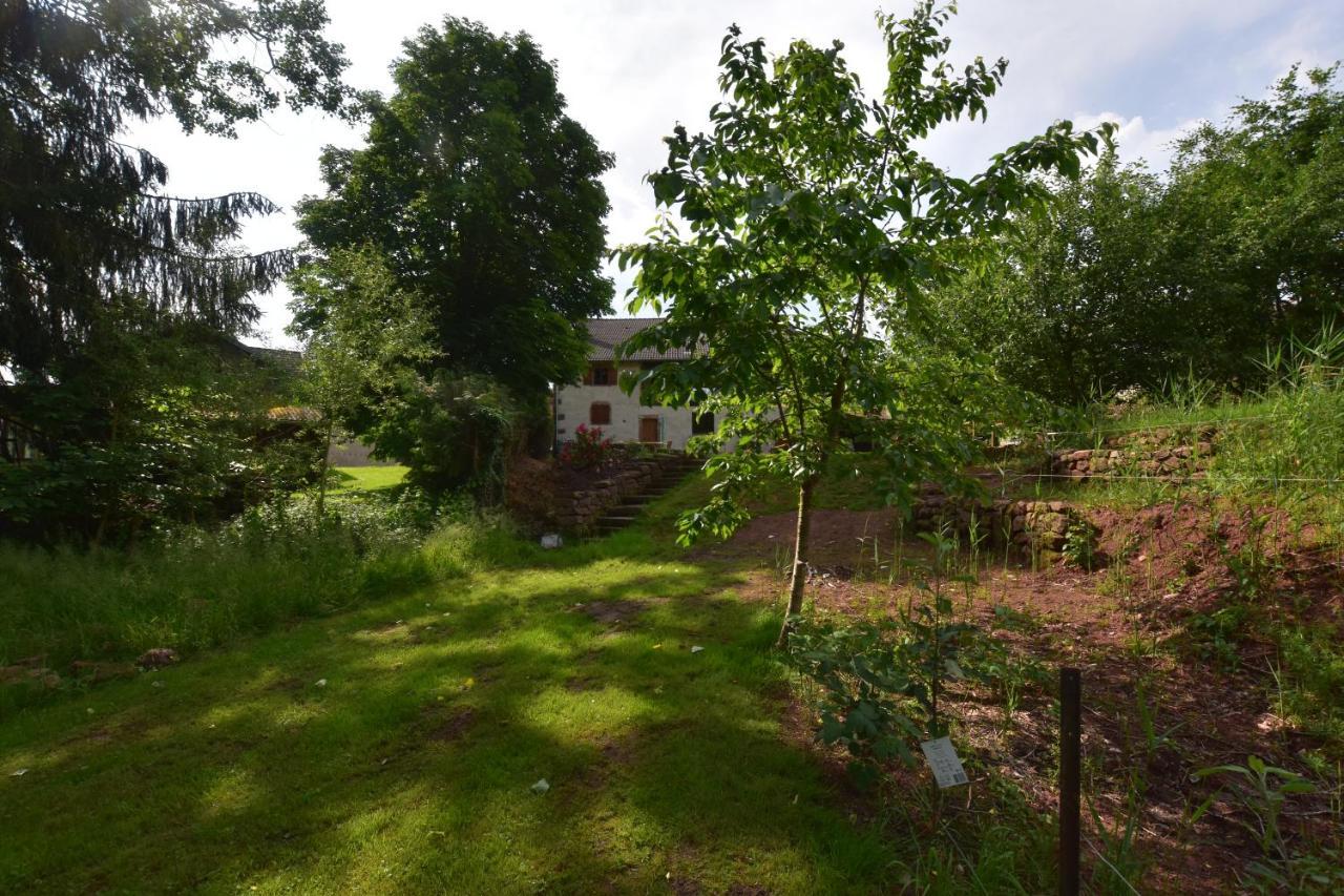 Serendipity For All Apartments Saint-Die-des-Vosges Exterior foto